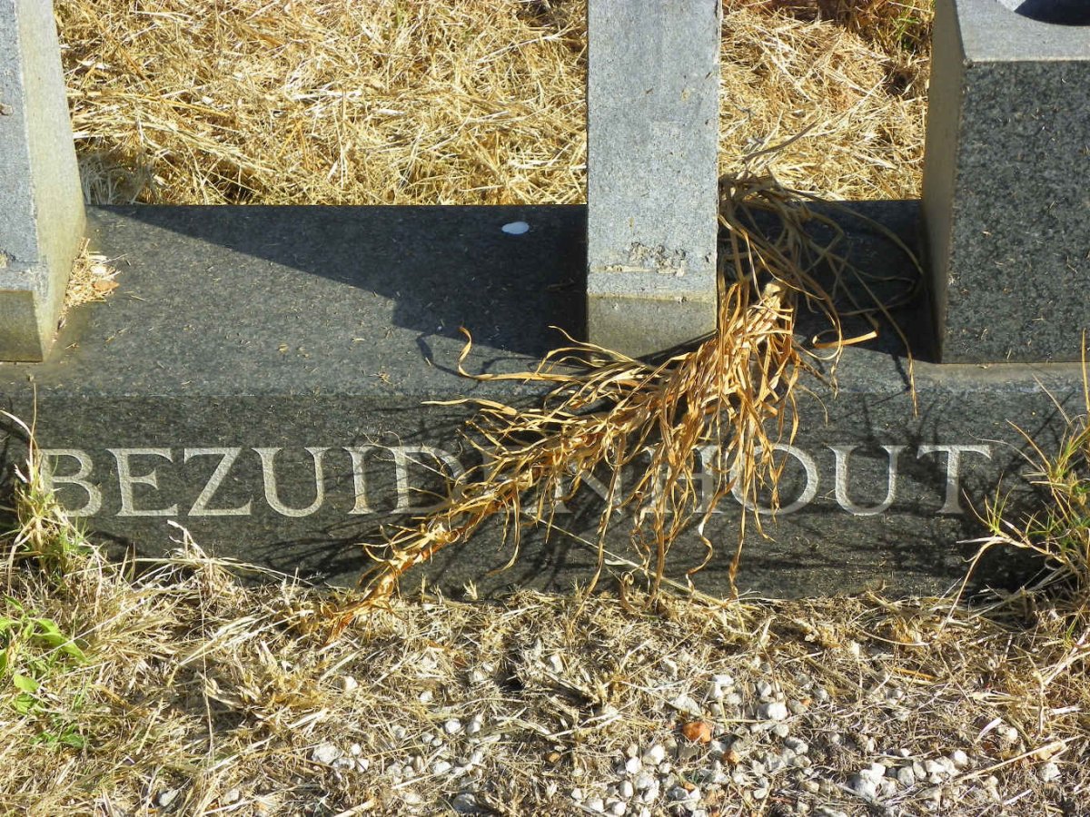 BEZUIDENHOUT