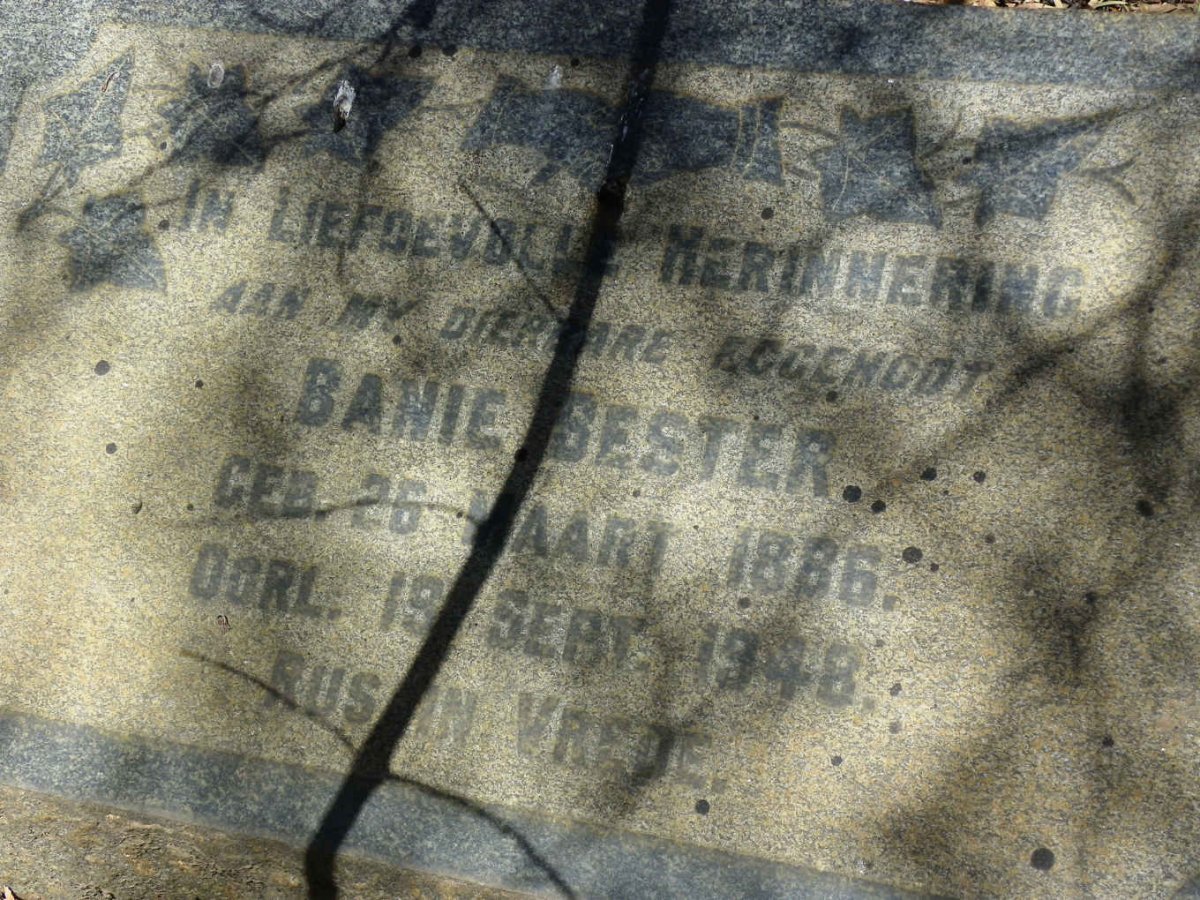 BESTER Banie 1886-1948