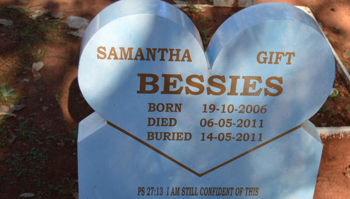 BESSIES Samantha Gift 2006-2011