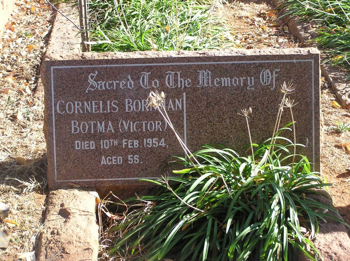 BOTMA Cornelis Bornman -1954
