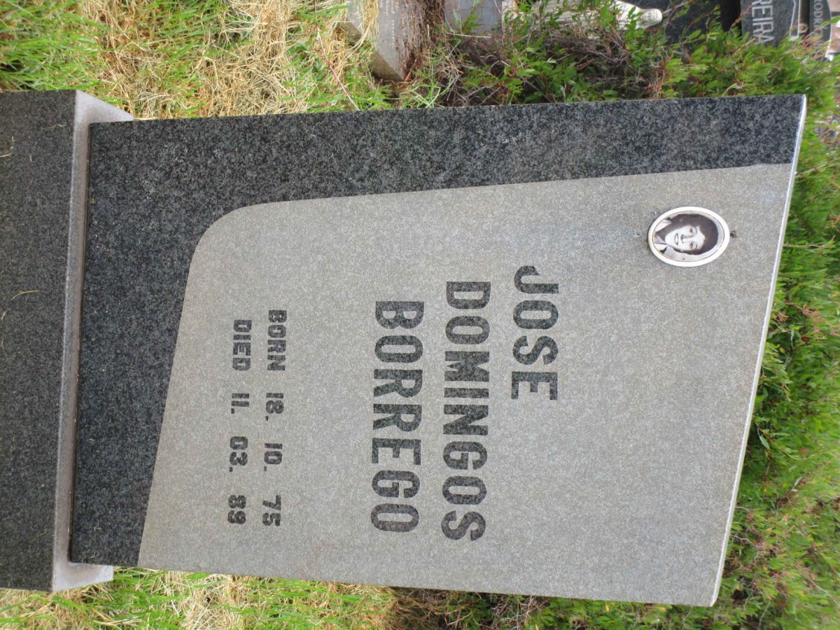 BORREGO Jose Domingos 1975-1989