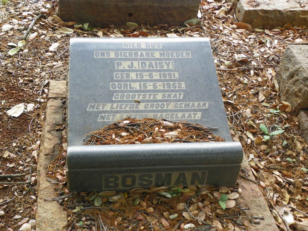 BOSMAN P.J. 1891-1952