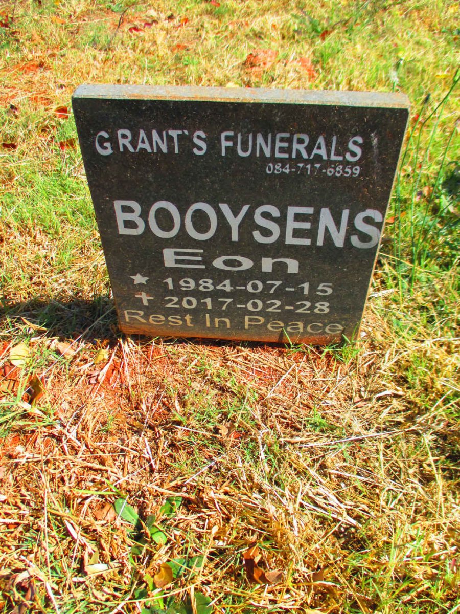 BOOYSENS Eon 1984-2017