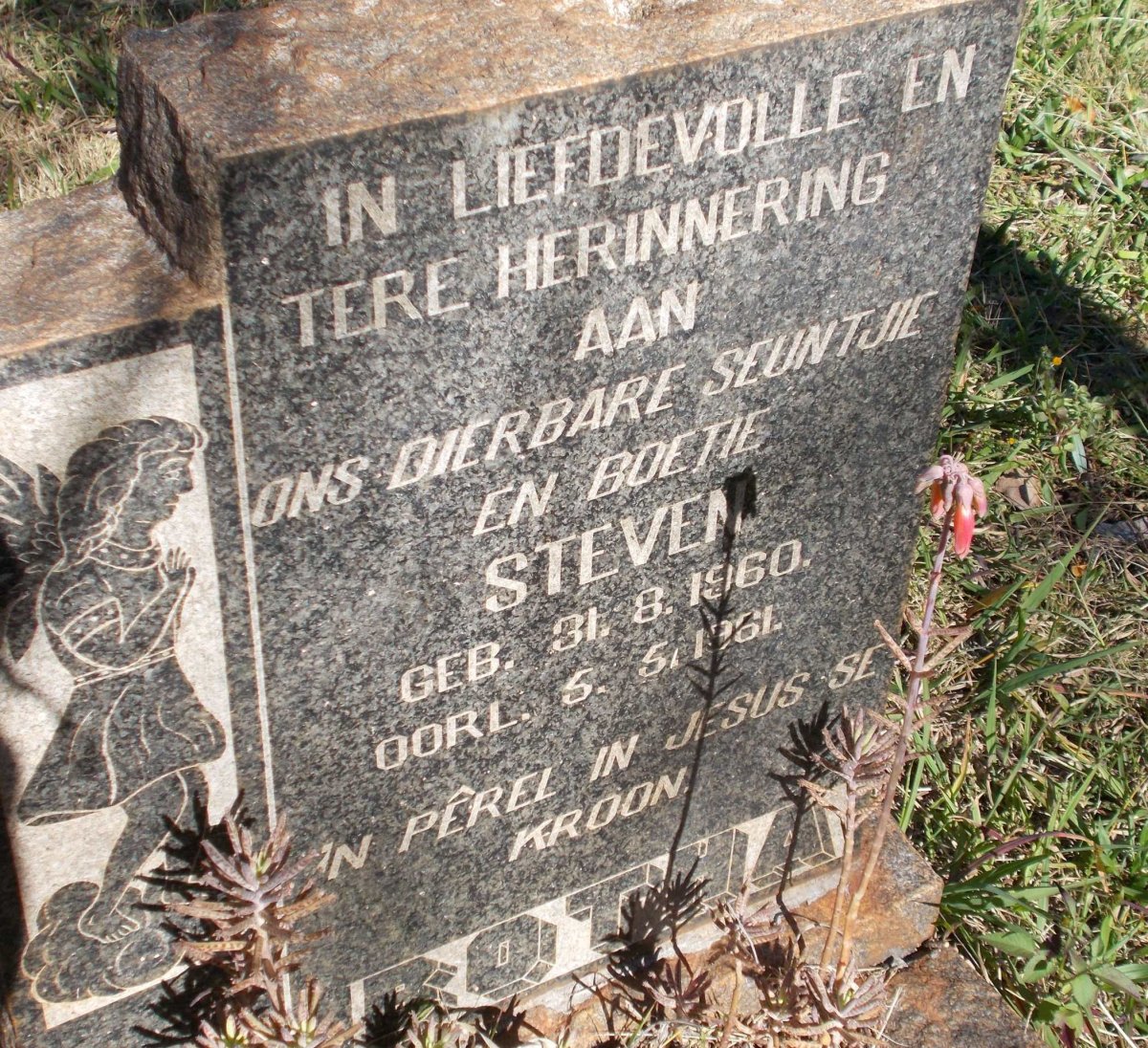 BOTHA Steven 1960-1961