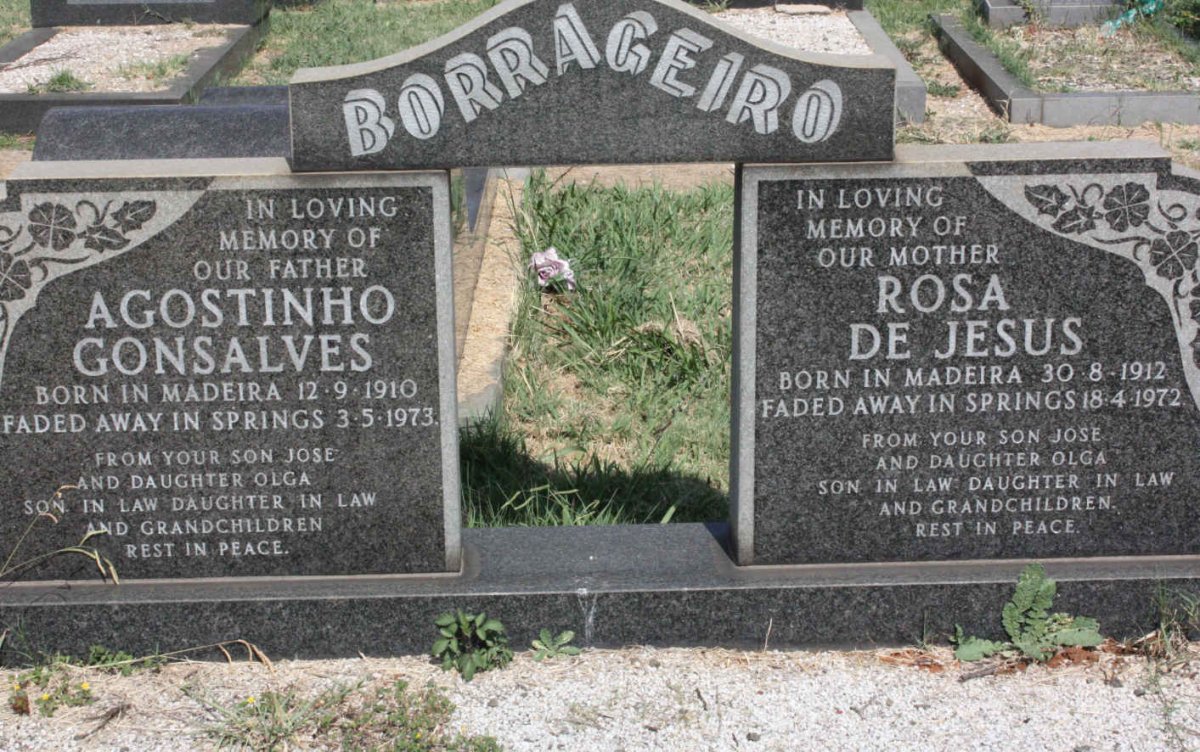 BORRAGEIRO Agostinho Gonsalves 1910-1973 &amp; Rosa de Jesus 1912-1972