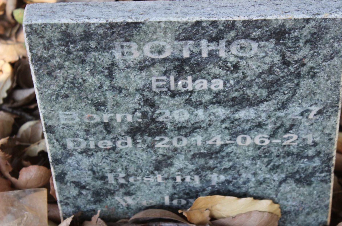 BOTHO Eldaa 2013-2014
