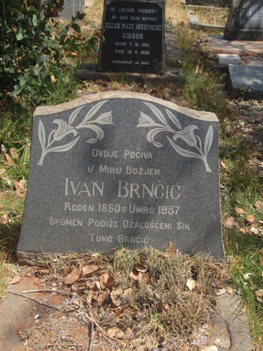 BRNCIC Ivan 1880-1957