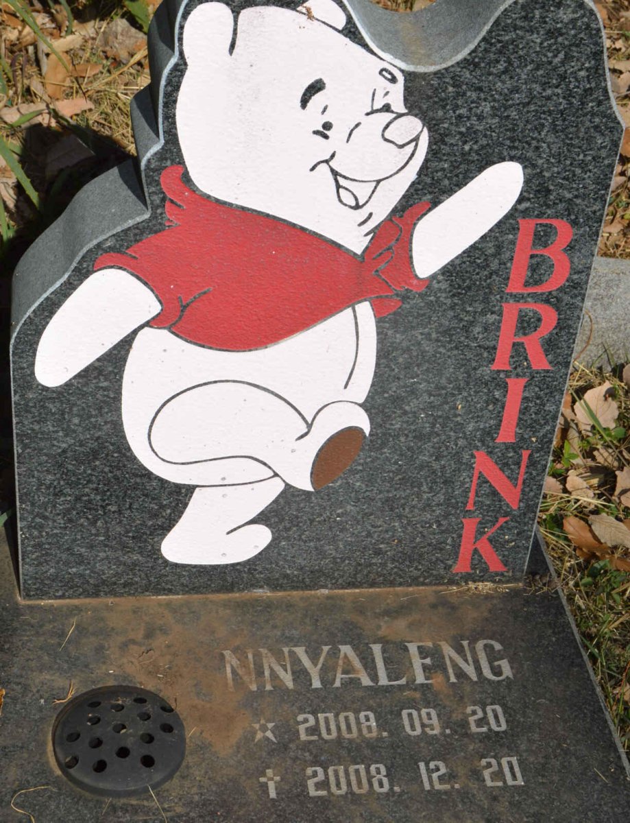 BRINK Nnyaleng 2008-2008