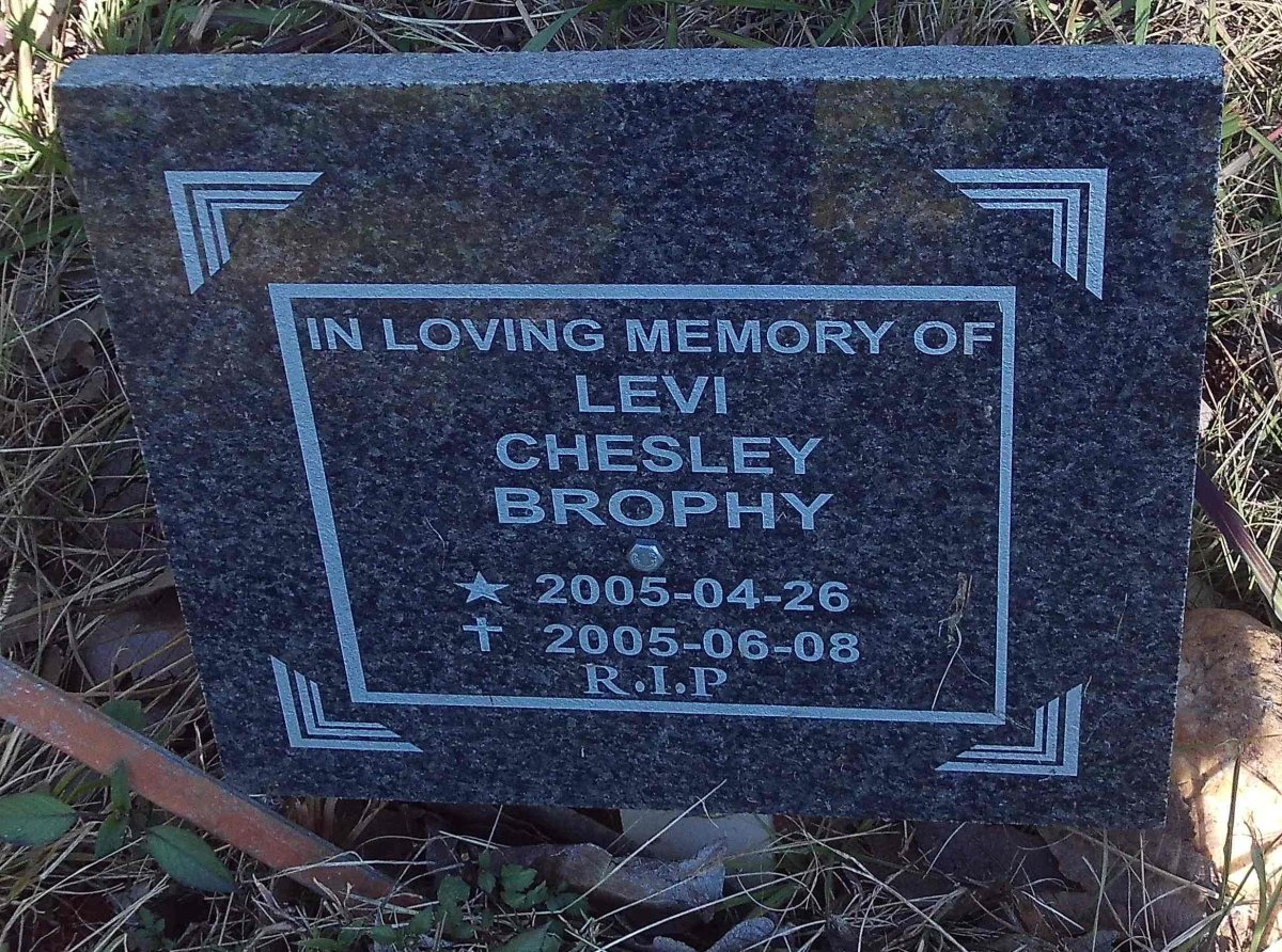 BROPHY Levi Chesley 2005-2005