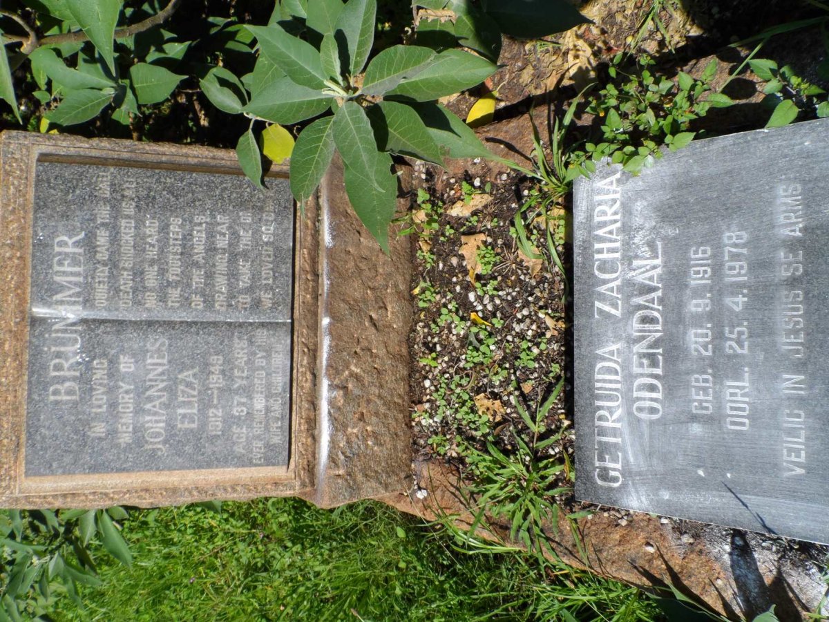 BRUMMER Johannes Eliza 1912-1949 :: ODENDAAL Gertruida Zacharia 1916-1978