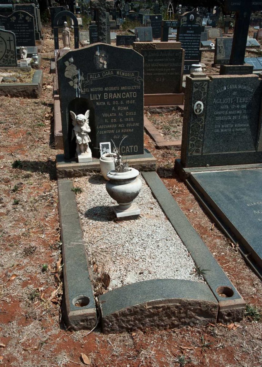 BRANCATO Lily 1952-1958