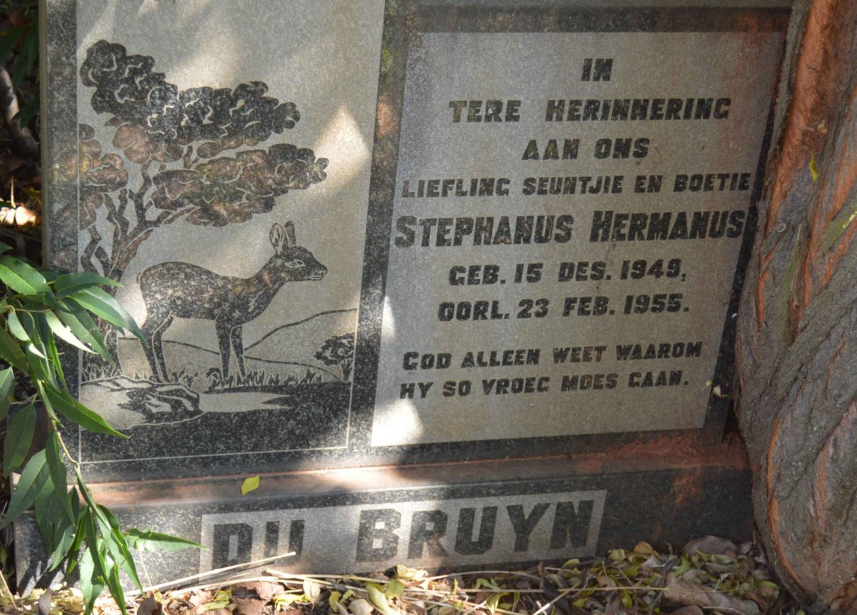 BRUYN Stephanus Hermanus, du 1945-1955