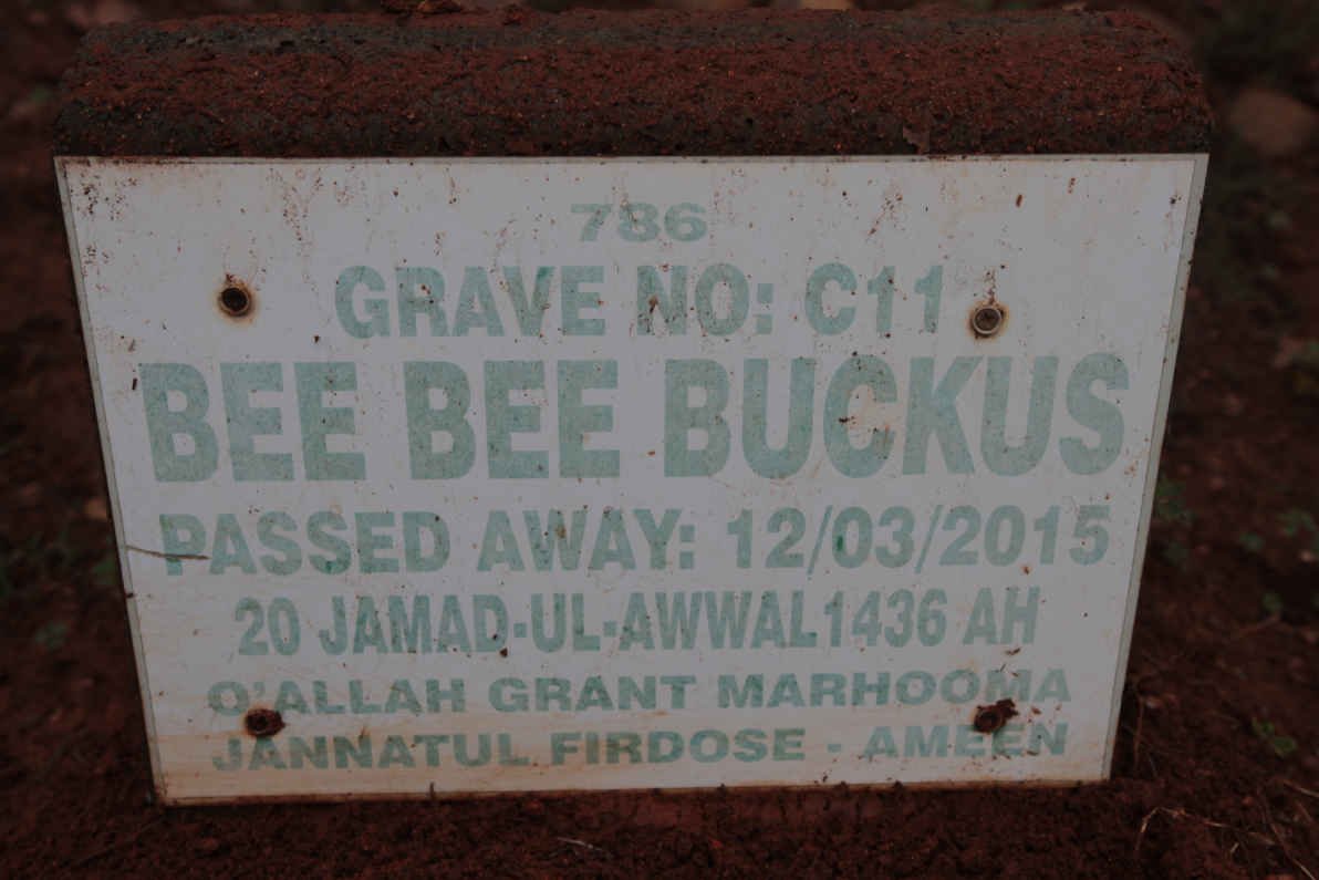 BUCKUS Bee Bee -2015