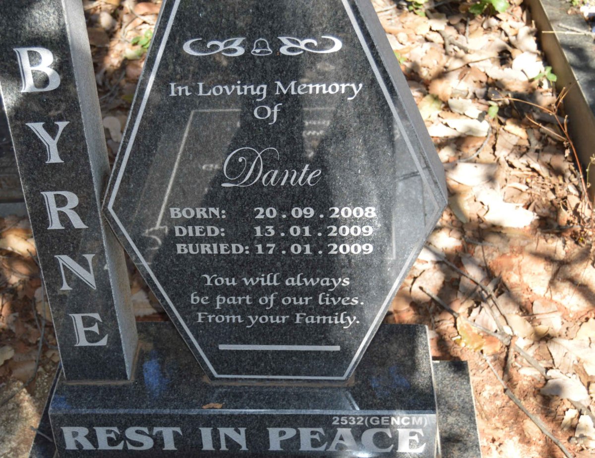 BYRNE Dante 2008-2009