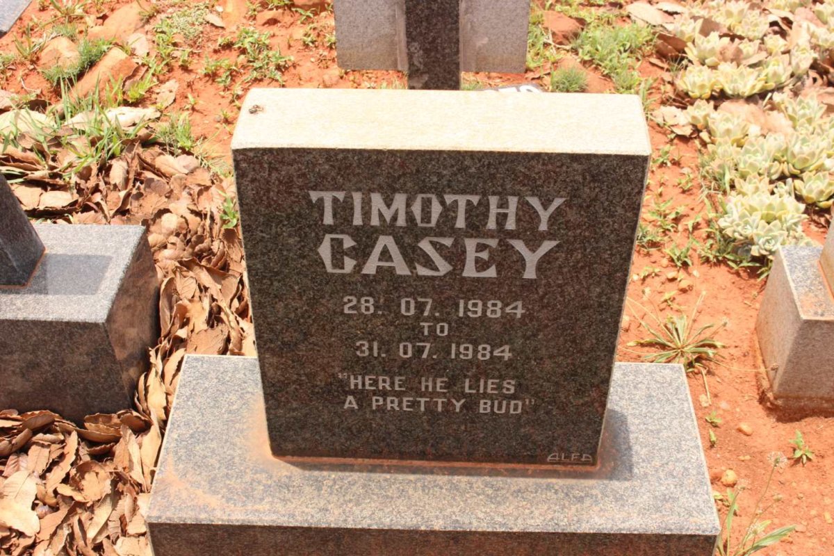 CASEY Timothy 1984-1984