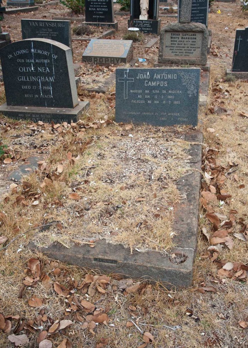 CAMPOS Joao Antonio 1885-1960