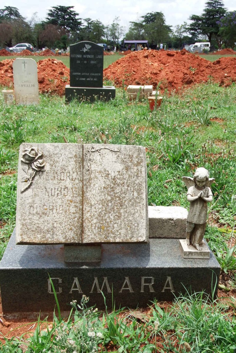 CAMARA Analiza 1979-1979