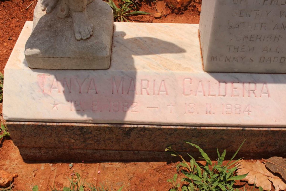 CALDEIRA Tanya Maria 1982-1984