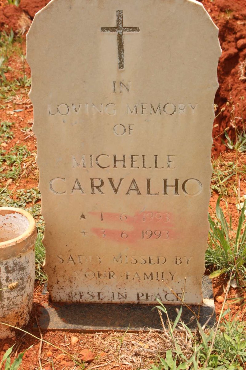 CARVALHO Michelle 1993-1993