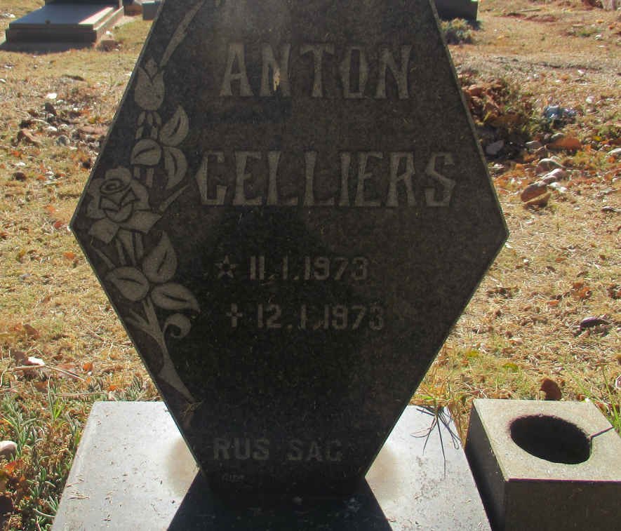 CELLIERS Anton 1973-1973
