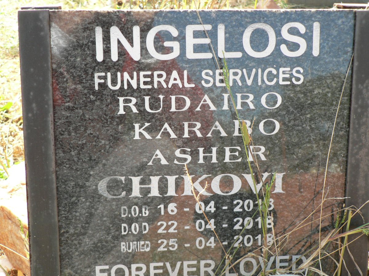 CHIKOVI Rudairo Karabo Asher 201?-2018