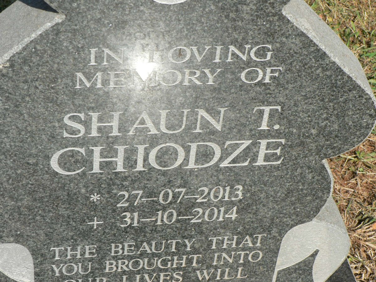 CHIODZE Shaun T. 2013-2014