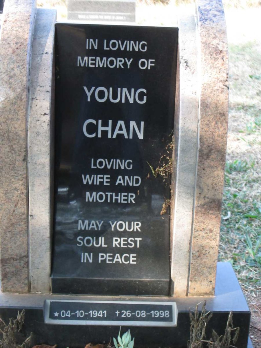 CHAN Young 1941-1998