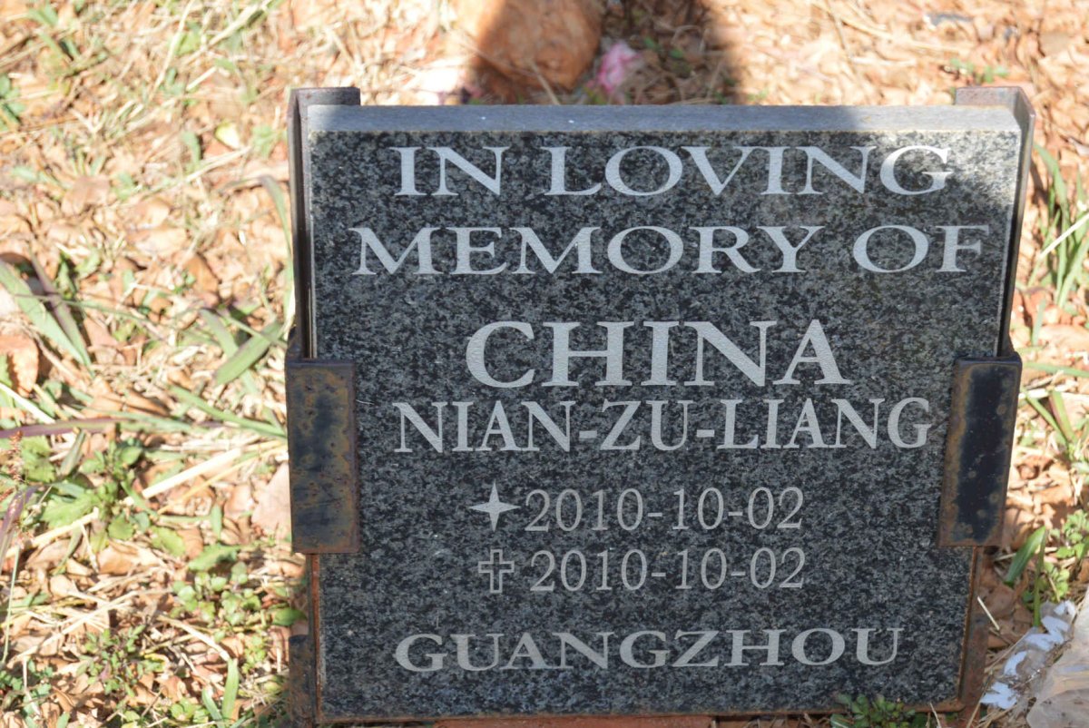 CHINA Nian-Zu-Liang 2010-2010