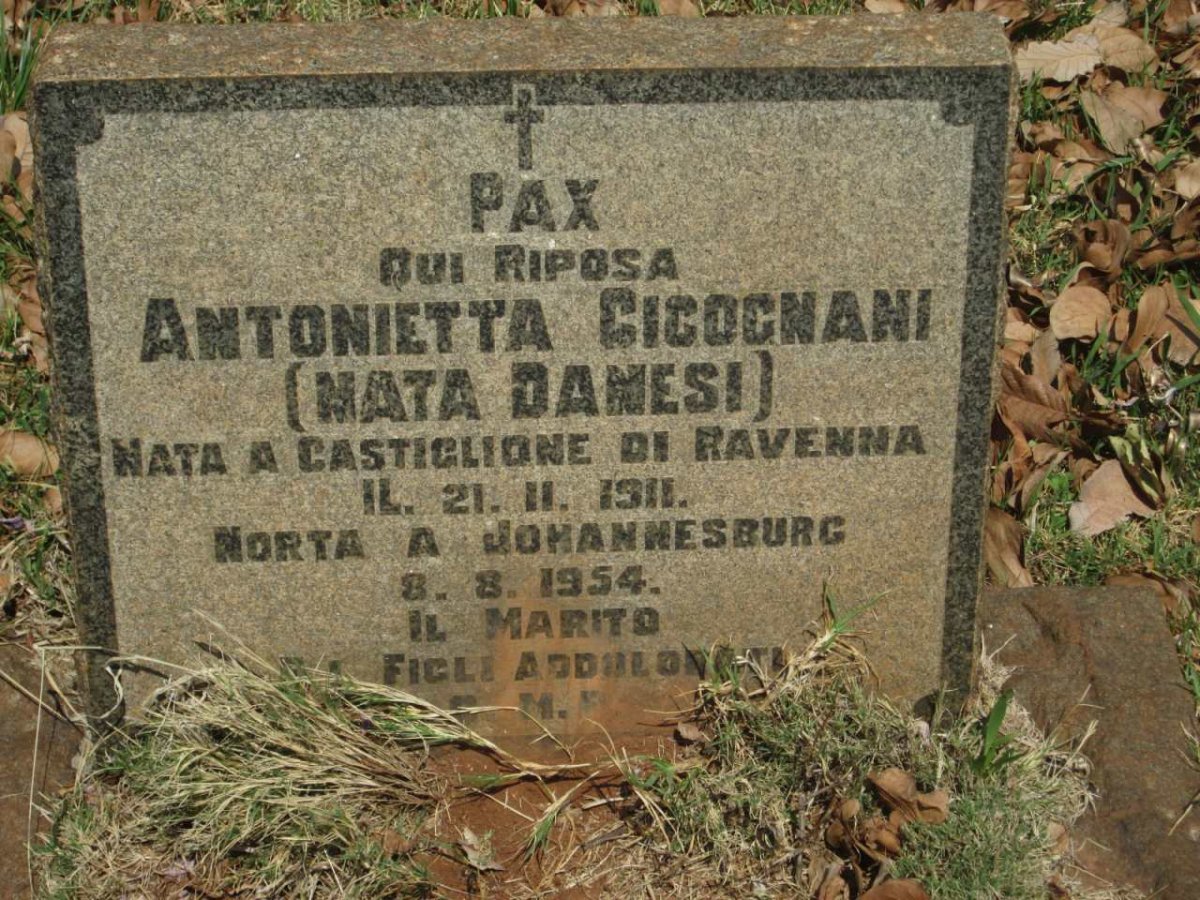 CICOGNANI Antonietta nee DANESI 1911-1954