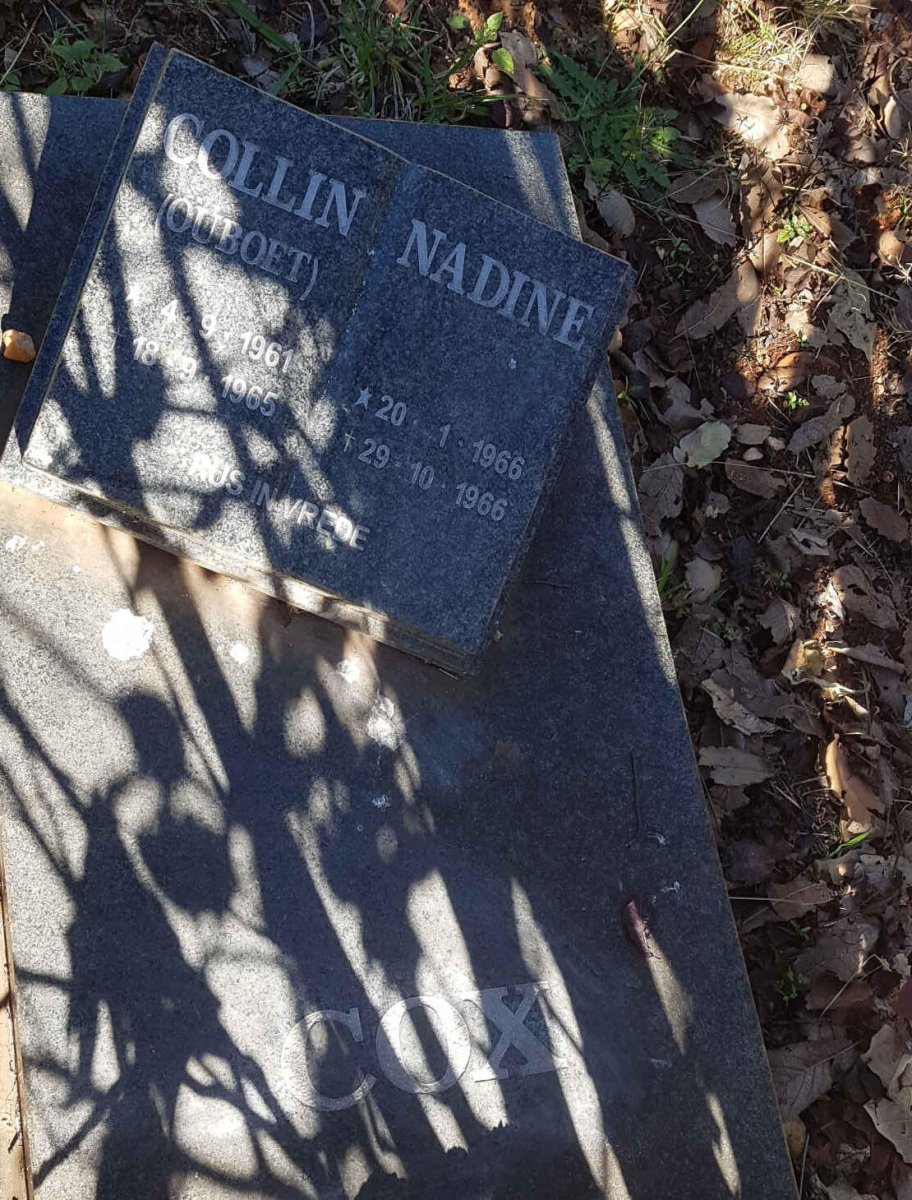 COX Collin 1961-1965 :: COX Nadine 1966-1966
