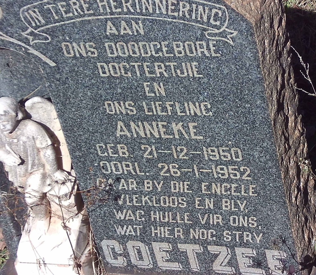 COETZEE Anneke 1950-1952