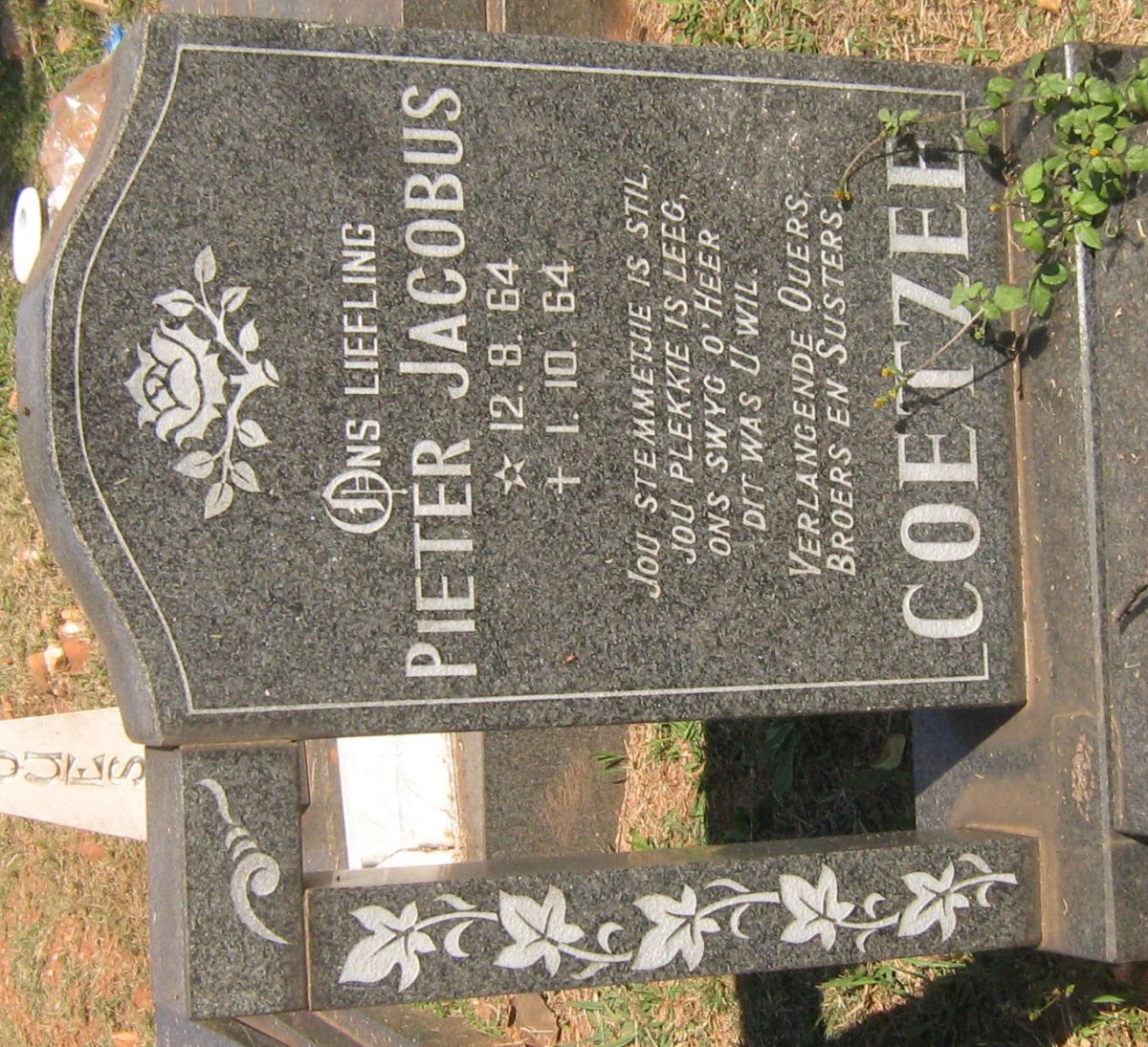 COETZEE Pieter Jacobus 1964-1964