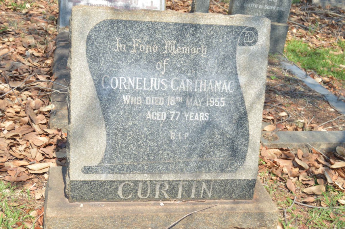 CURTIN Cornelius Carthanac -1955