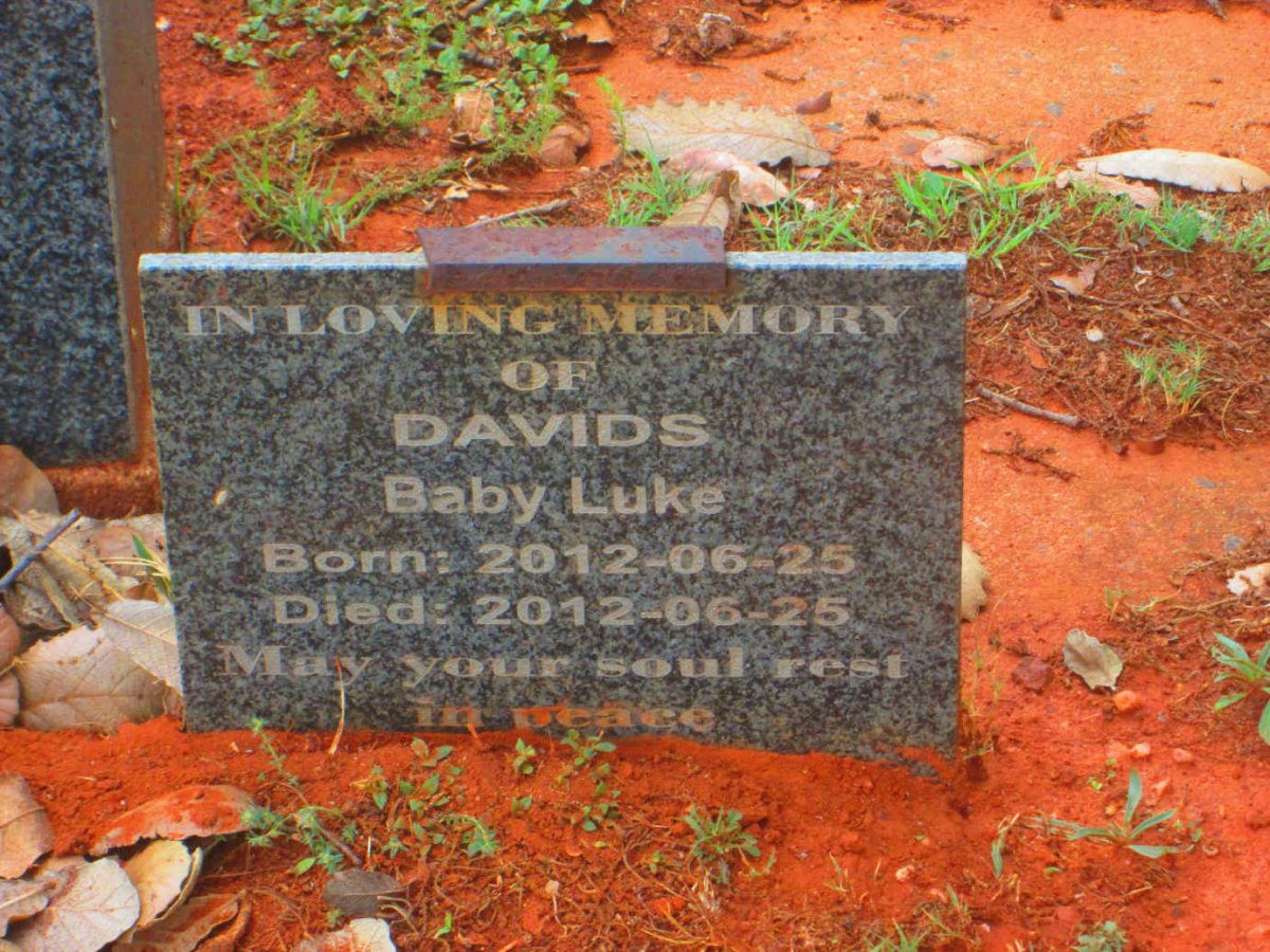 DAVIDS Luke 2012-2012