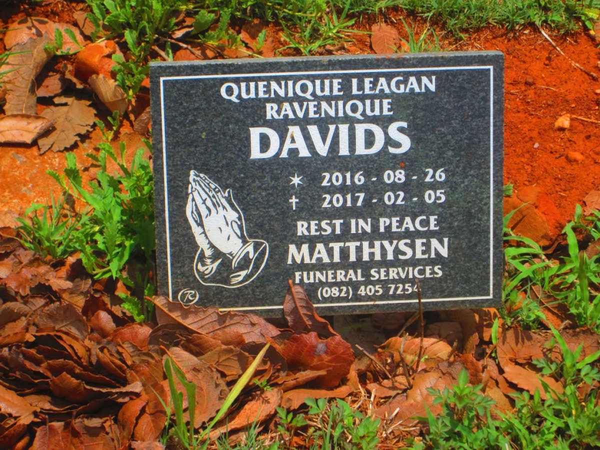 DAVIDS Quenique Leagan Ravenique 2016-2017