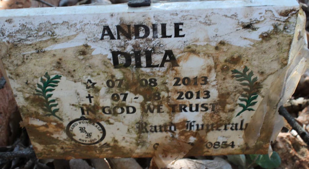 DILA Andile 2013-2013
