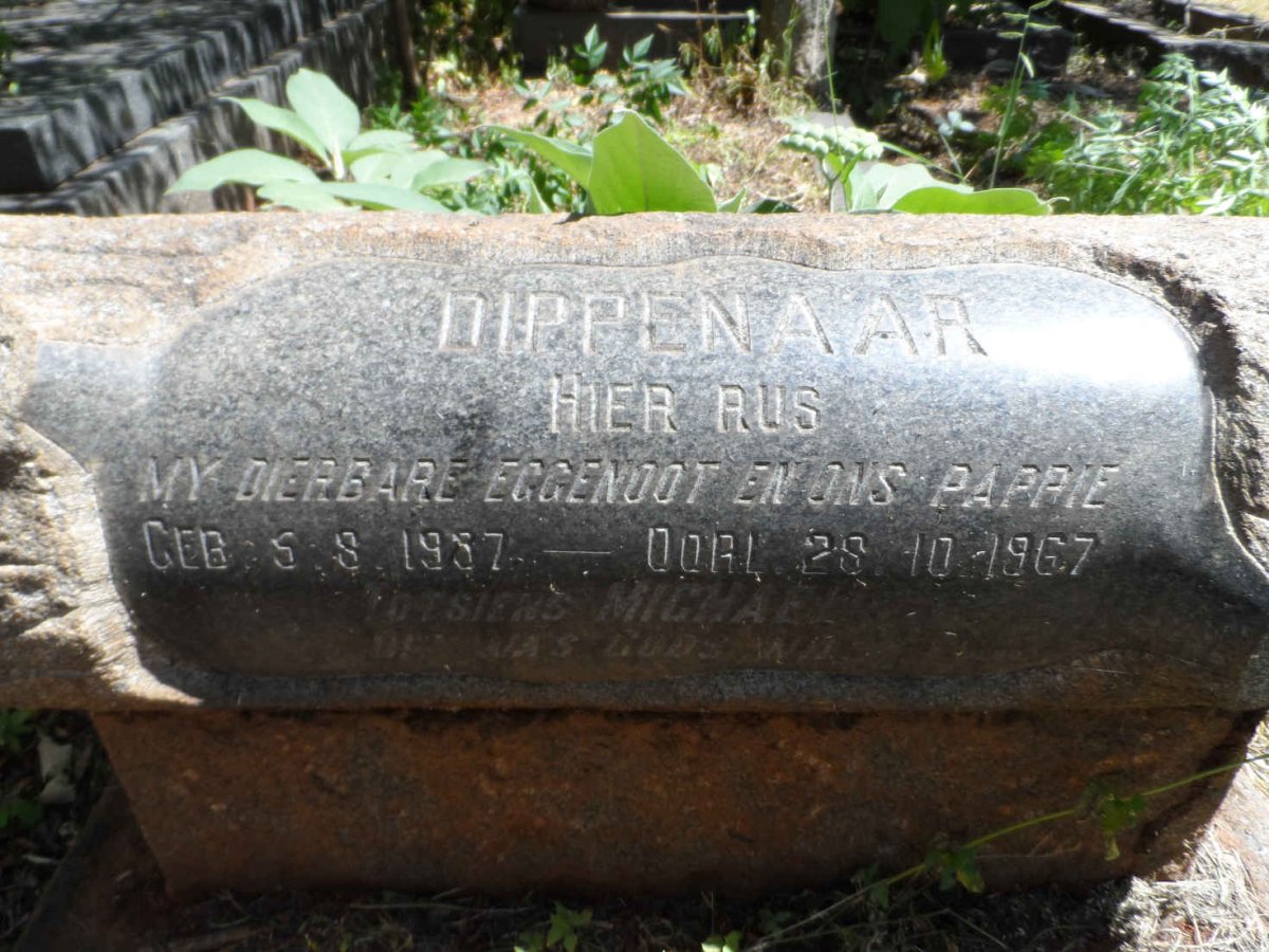 DIPPENAAR Michael 1937-1967