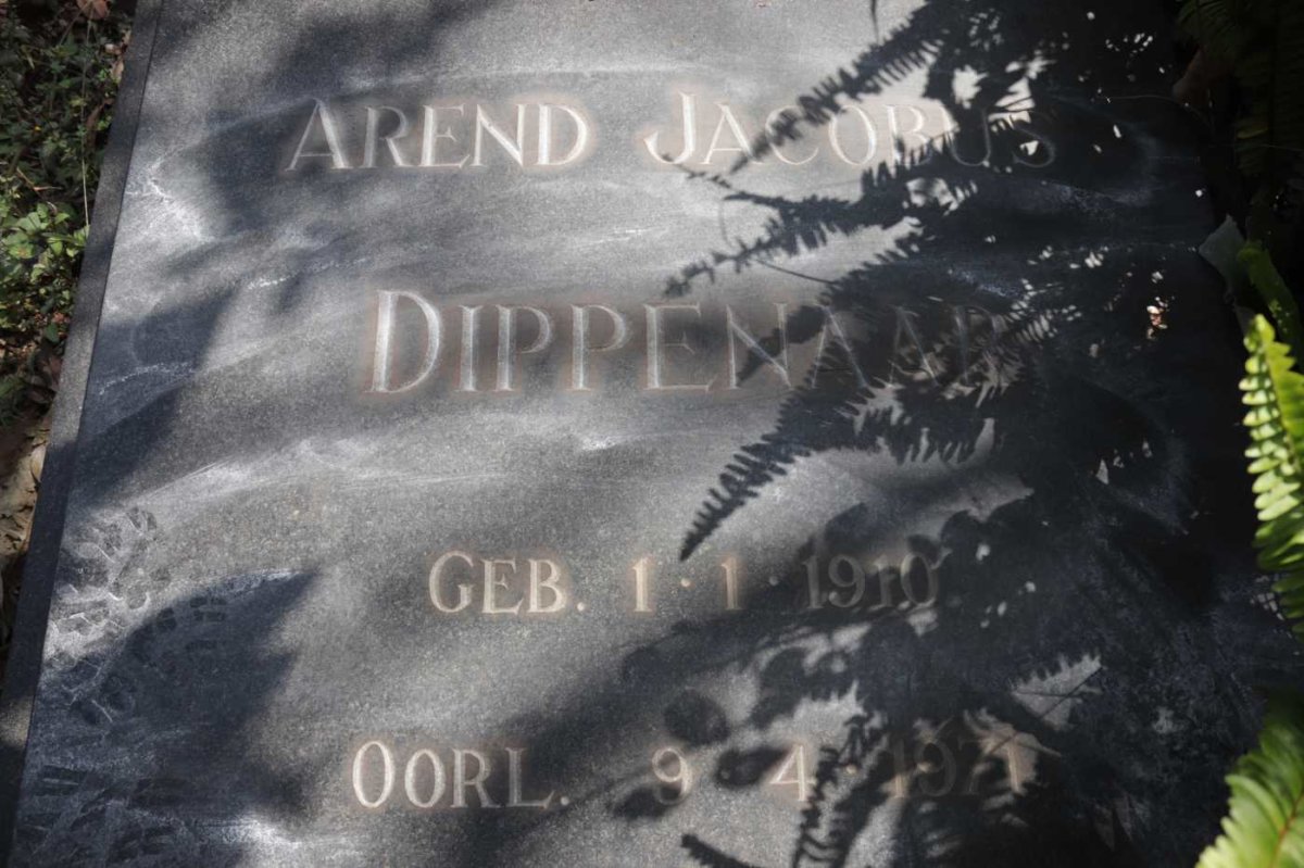 DIPPENAAR Arend Jacobus 1910-1971