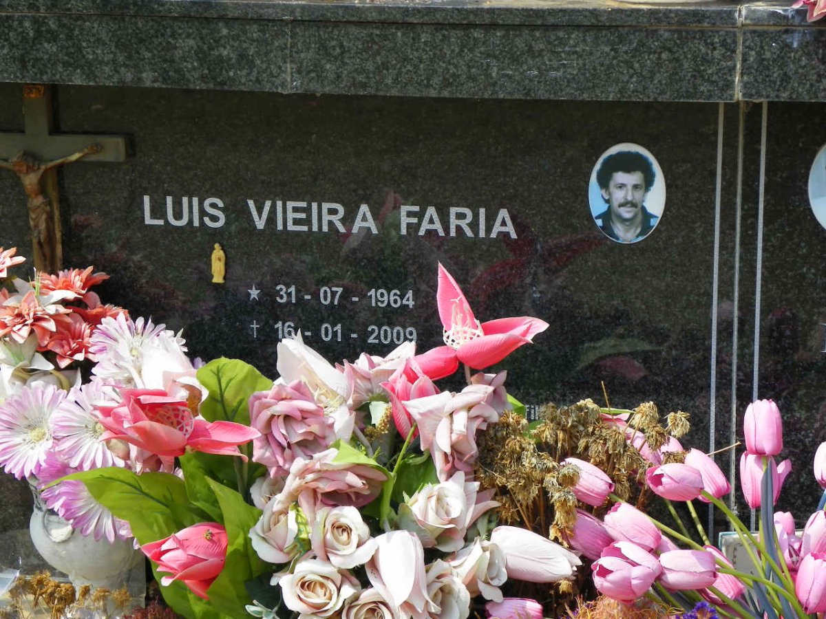 FARIA Luis Vieira 1964-2009