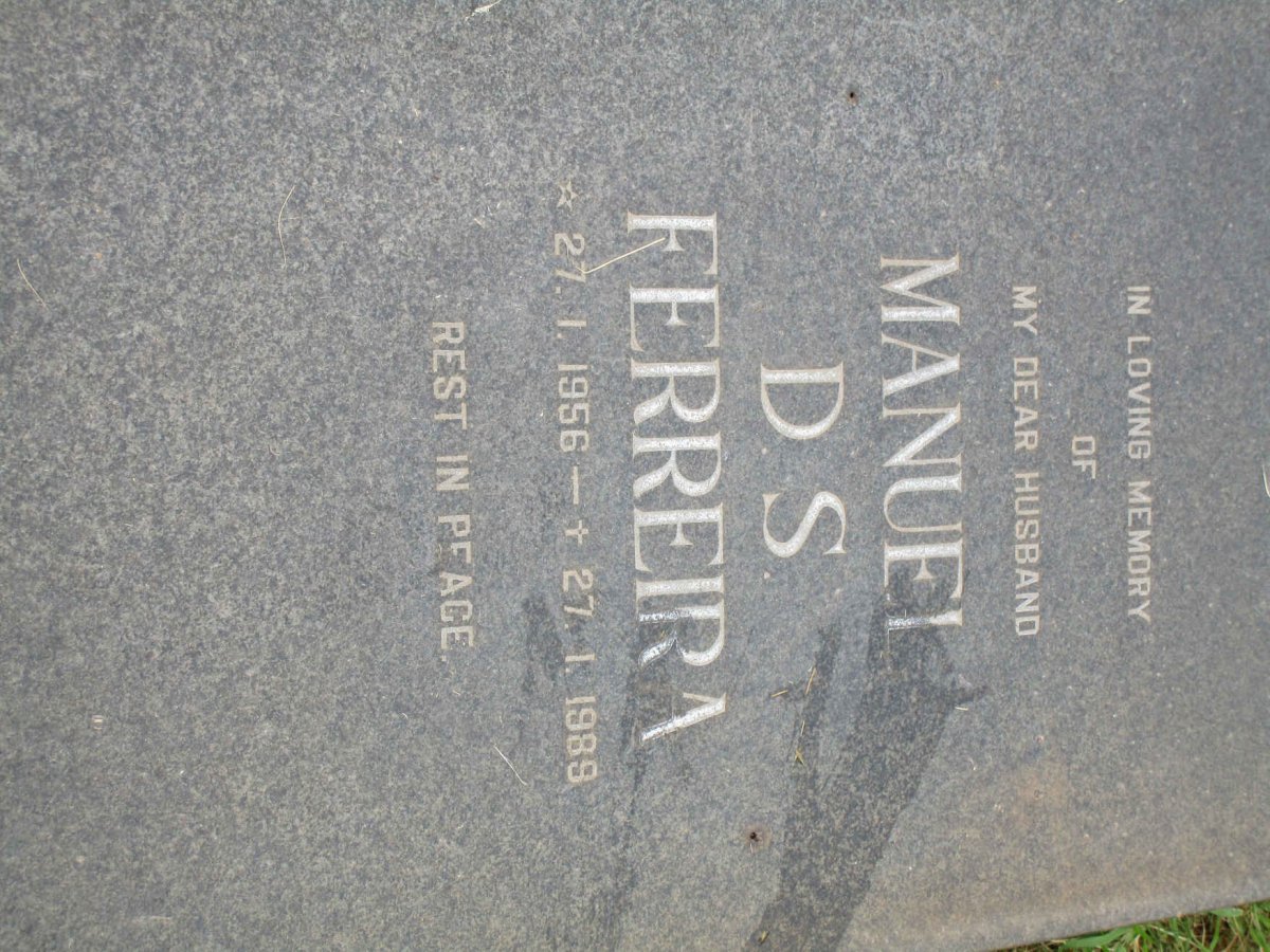 FERREIRA Manuel D.S. 1956-1989