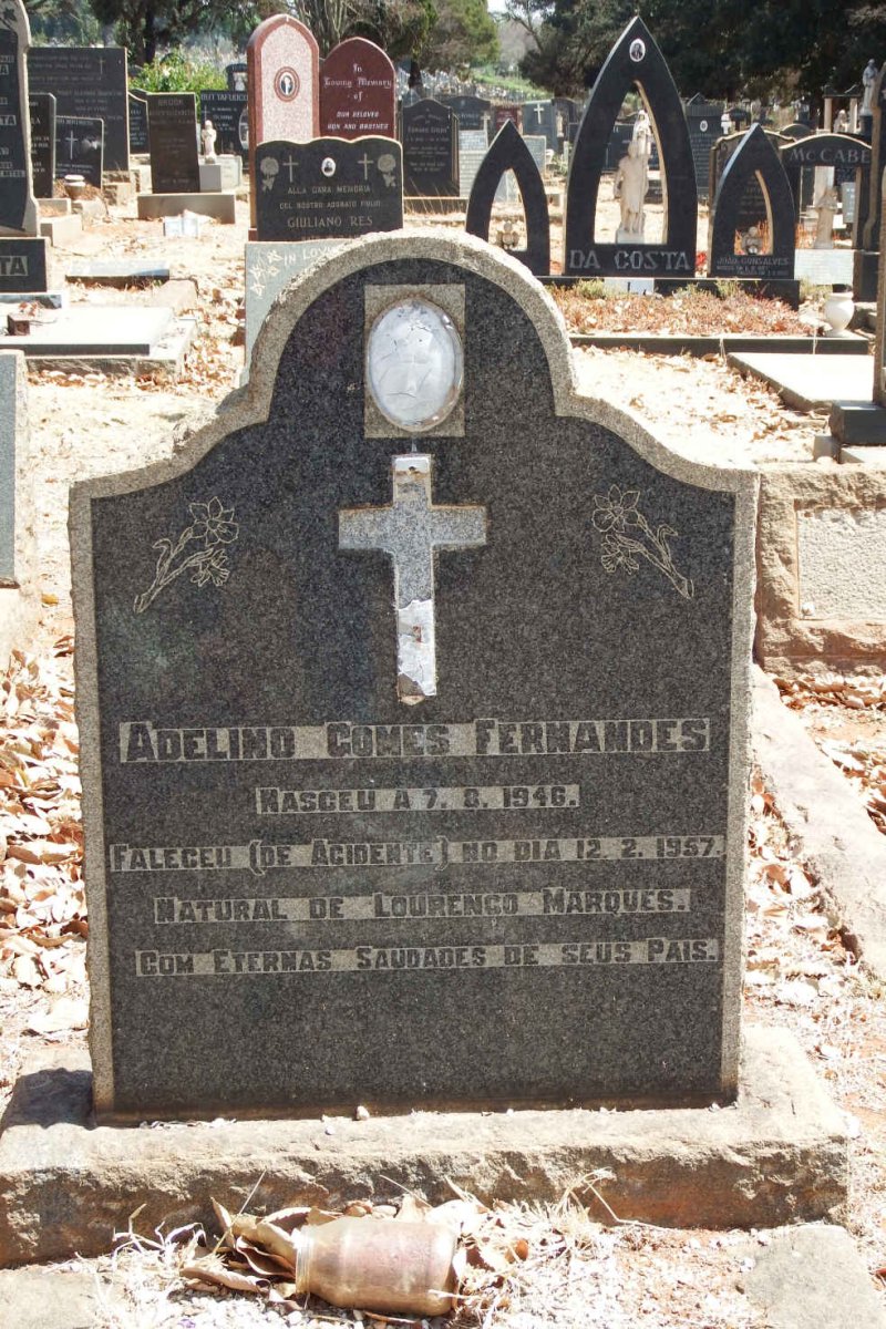 FERNANDES Adelino Gomes 1946-1957