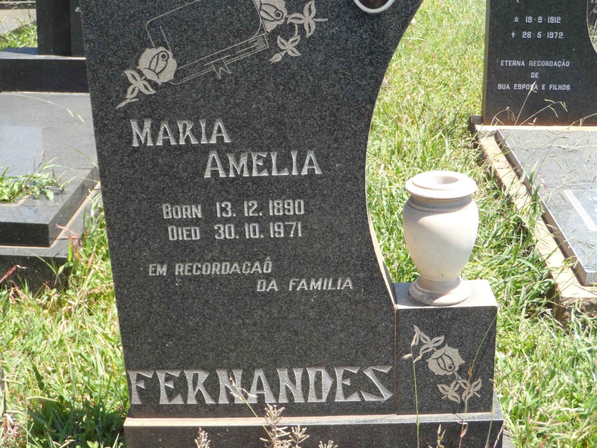 FERNANDES Maria Amelia 1890-1971
