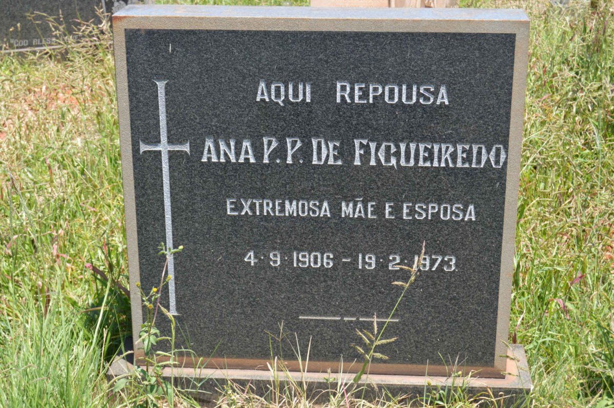 FIGUEIREDO Ana P.P., de 1906-1973
