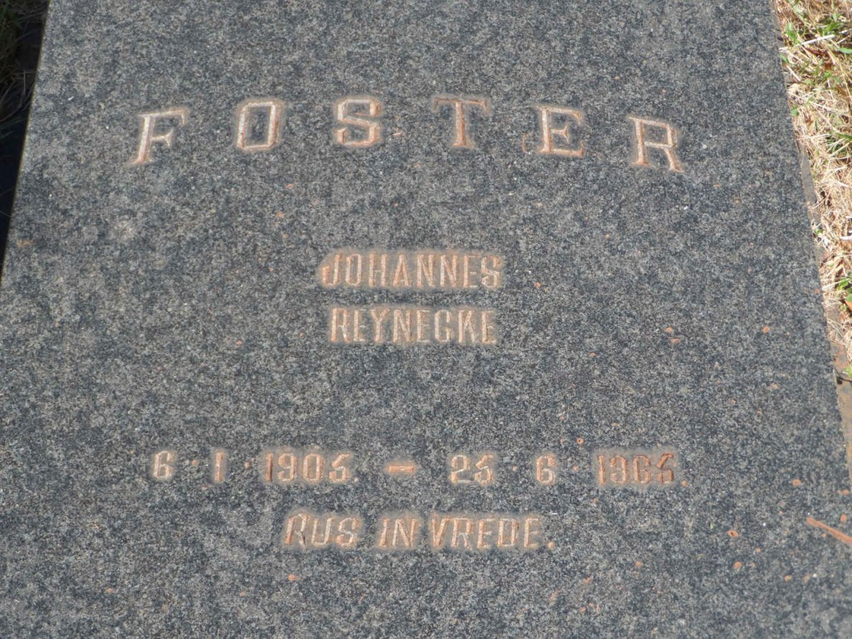 FOSTER Johannes Reynecke 1905-1965
