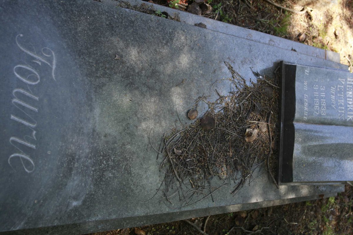 FOURIE Hendrik Petrus 1933-1967
