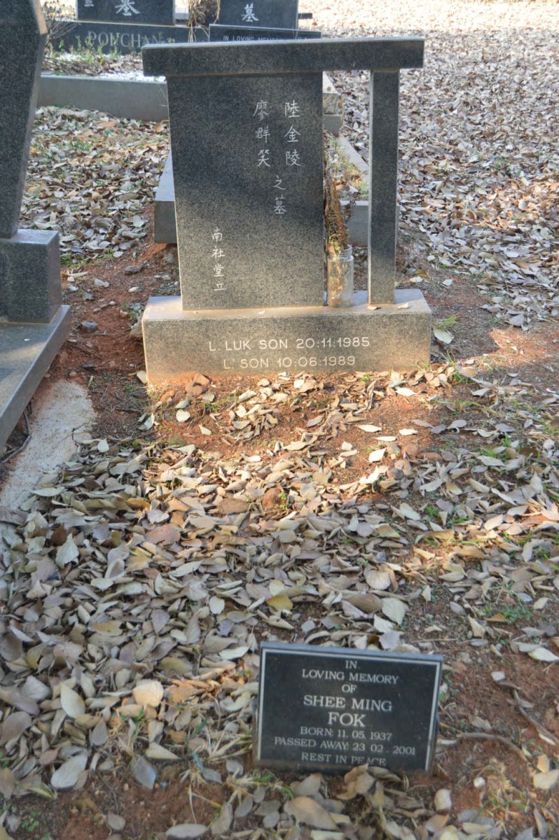 FOK Shee Ming 1937-2001 :: SON L. Luk -1985 :: SON L. -1989