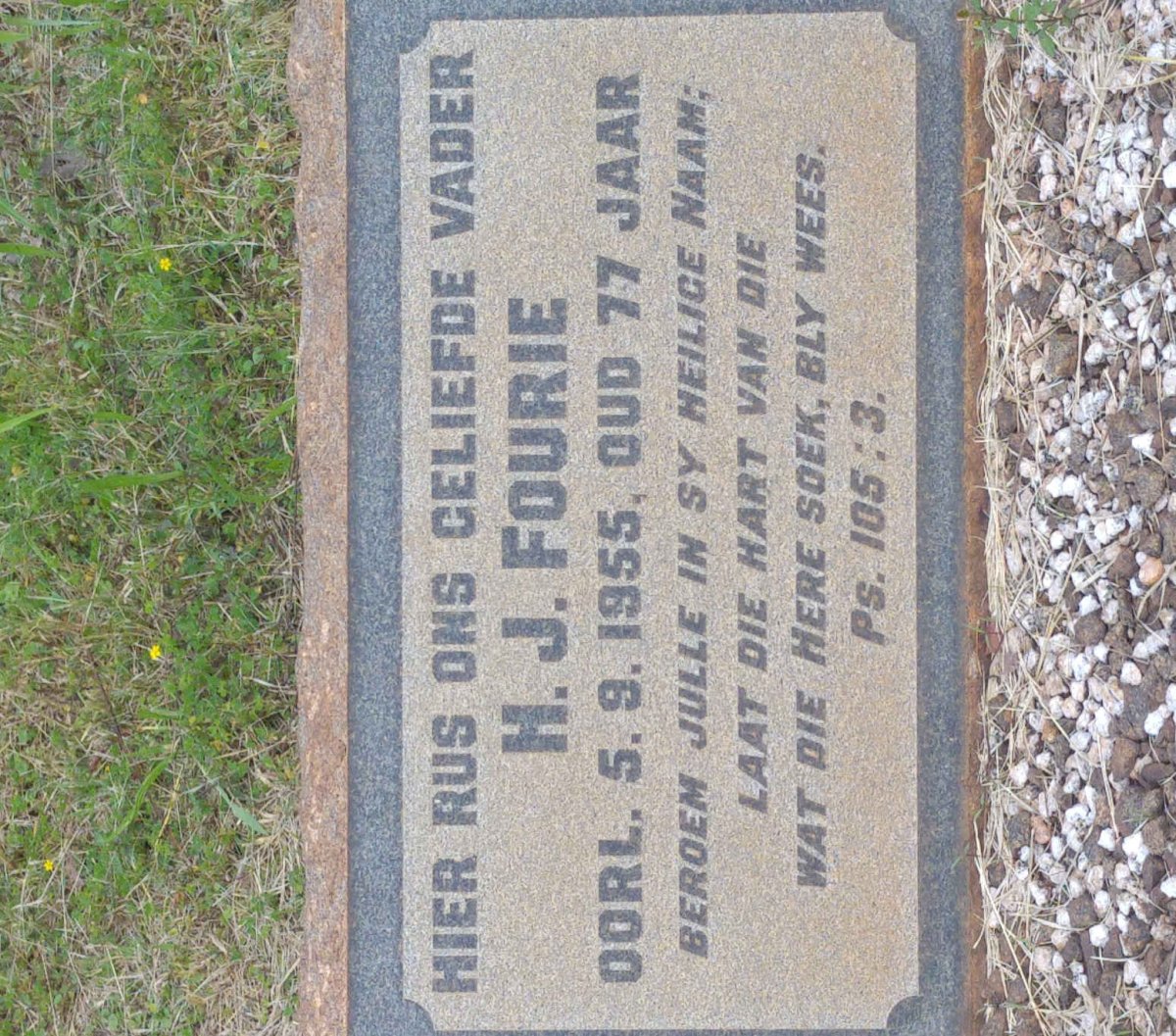 FOURIE H.J. -1955