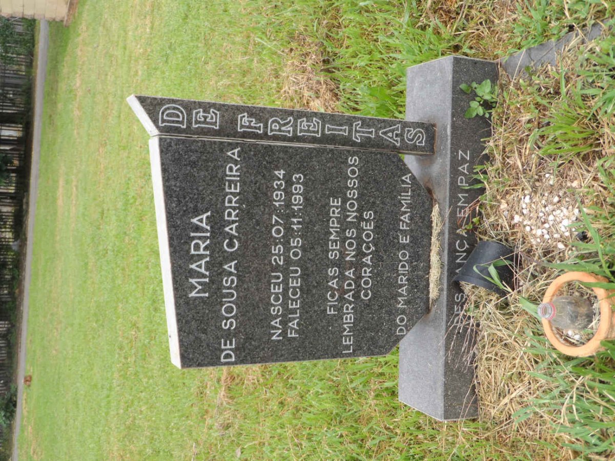 FREITAS Maria de Sousa Carreira, de 1934-1993