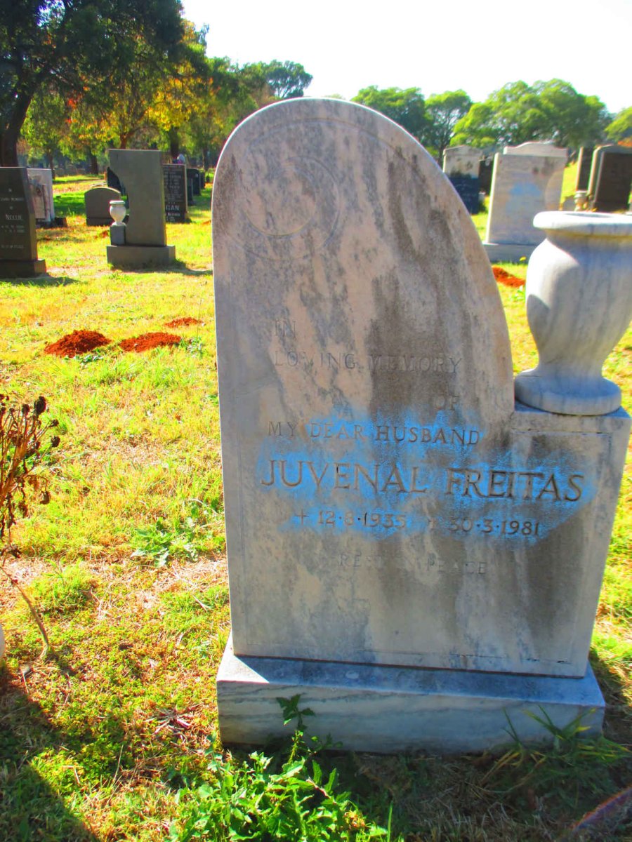 FREITAS Juvenal 1935-1981
