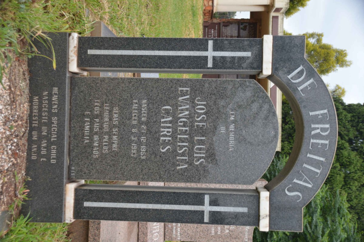 FREITAS Jose Luis Evangelista Caires, de 1959-1993